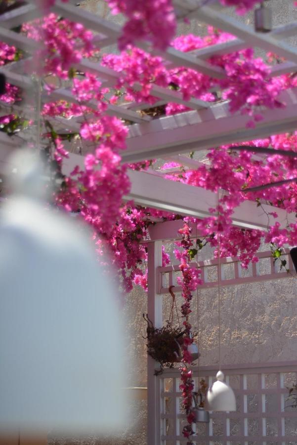 Villa Iokasti Chersonissos Buitenkant foto